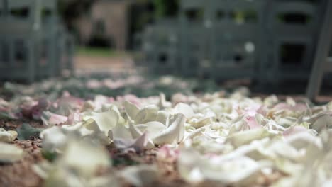 white rose petals and pebble stone on ground of the wedding aisle - selective focus