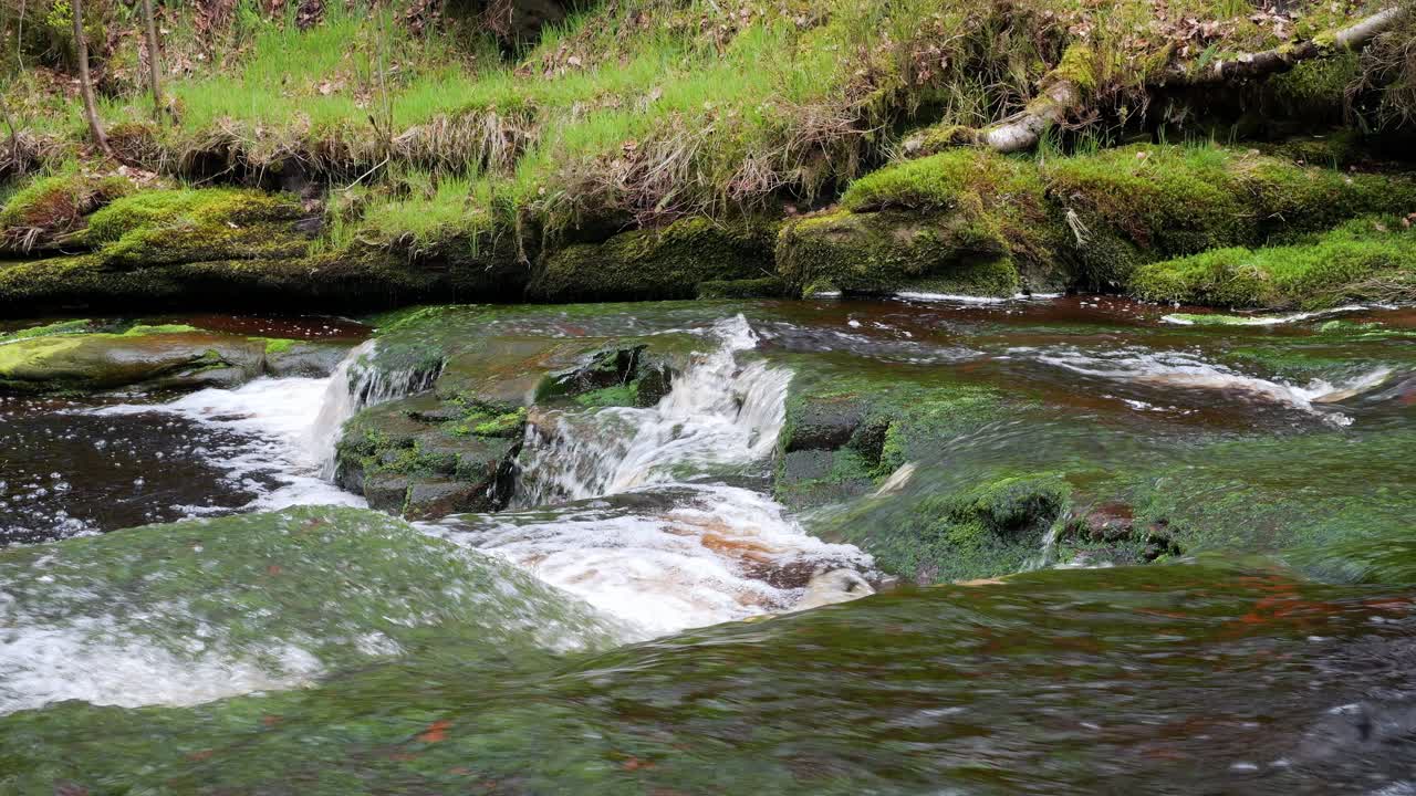 Slow moving forest stream waterfall, nature's serenity scene with tranquil pool below, lush greenery and moss-covered stones, sense of peacefulness and untouched beauty of nature in forest ecosystem