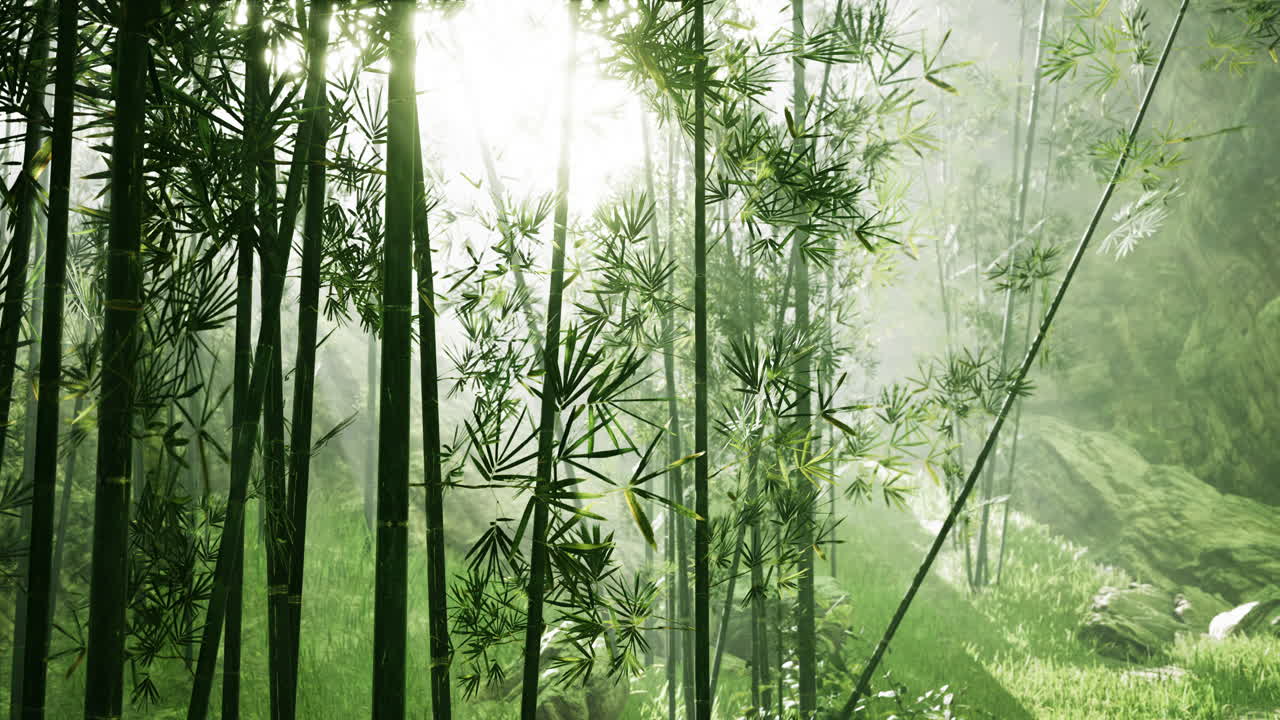 selvas tropicales del sudeste asiático