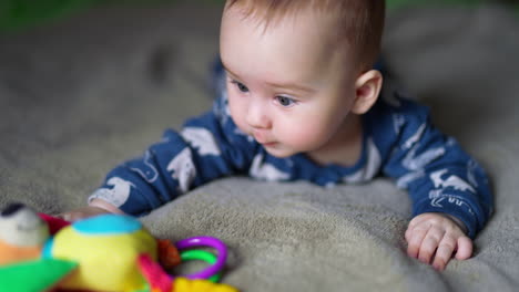 cute boy lies on belly looking at a toy in front of him. interested infant baby touching the bright toy. blurred backdrop.