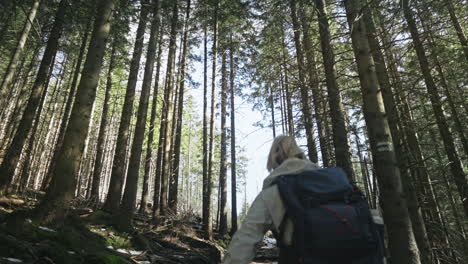 woman with backpack climbing up on the hill along the trees in tatra mountains. - follow shot