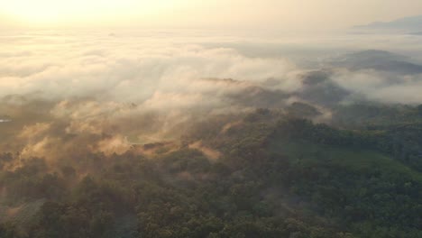 Fog-morning-in-the-indonesian-countryside-with-dawn-light