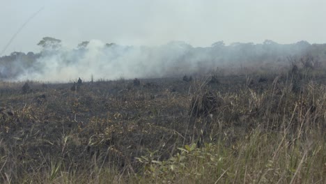 Smoke-from-wildfires-in-the-amazon-rainforest-fills-the-sky