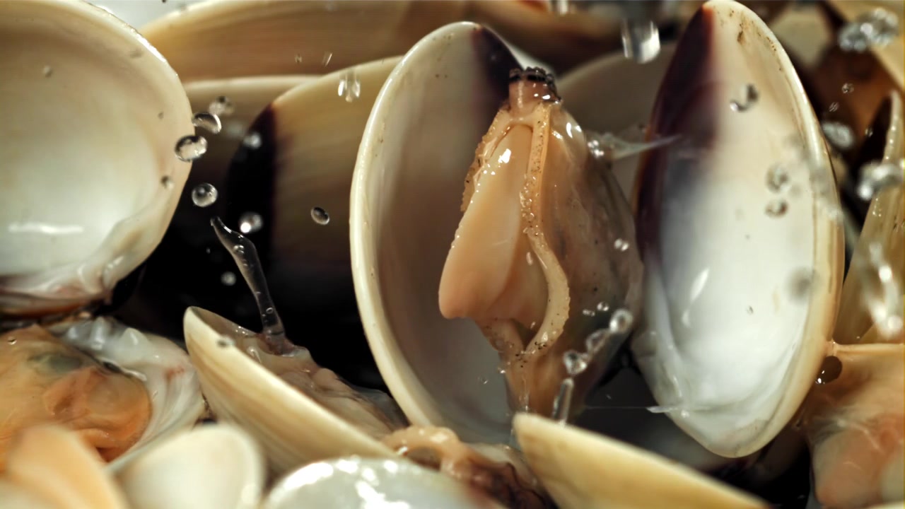 Fresh Clams Being Cleaned with Water in Slow Motion