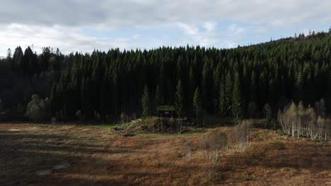 Cabaña-De-Madera-En-Medio-De-Un-Bosque-Siempre-Verde-En-Indre-Fosen,-Noruega