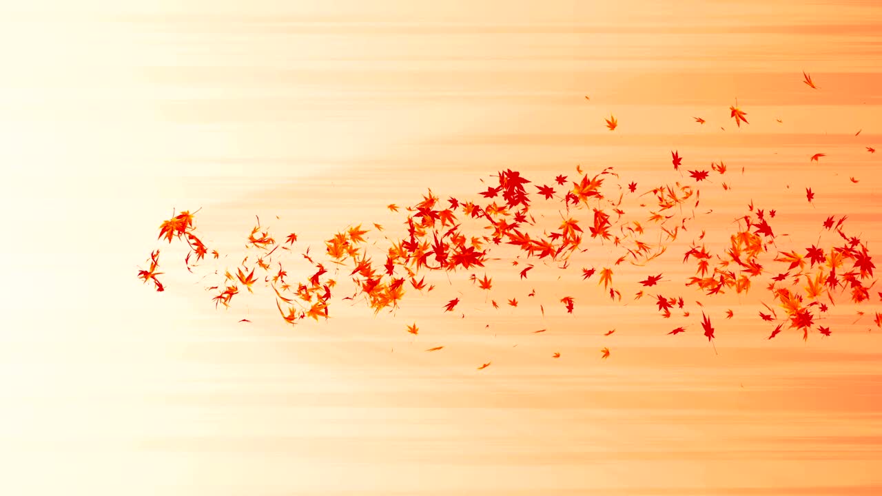 다채로운 메이플과 잎에서 나온 소용돌이, 가을 잎의 나선형 반이는 입자, 춤추는 잎, 다채로운 자연 터널 루프 애니메이션.