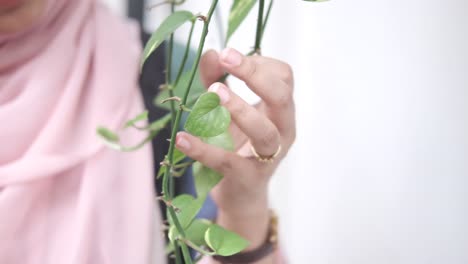 woman touching a hanging plant