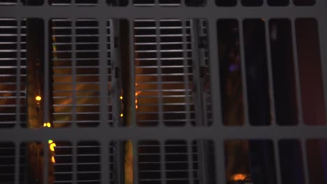 close-up of metal grate with orange lights