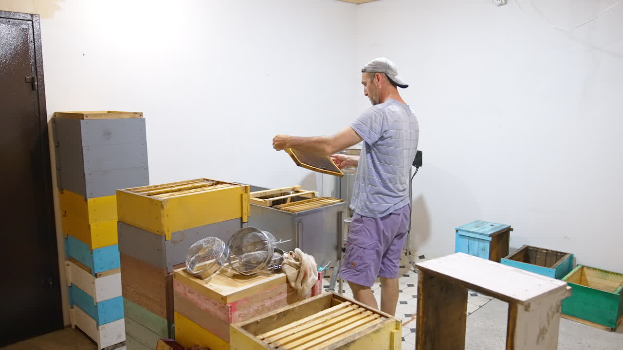 Light room with wooden hives and boxes in it. Male apiculturist replaces honey frames from one box to another.