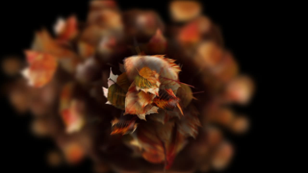 Autumn Leaves Transition on black background - Leaf Particles Reveal Element