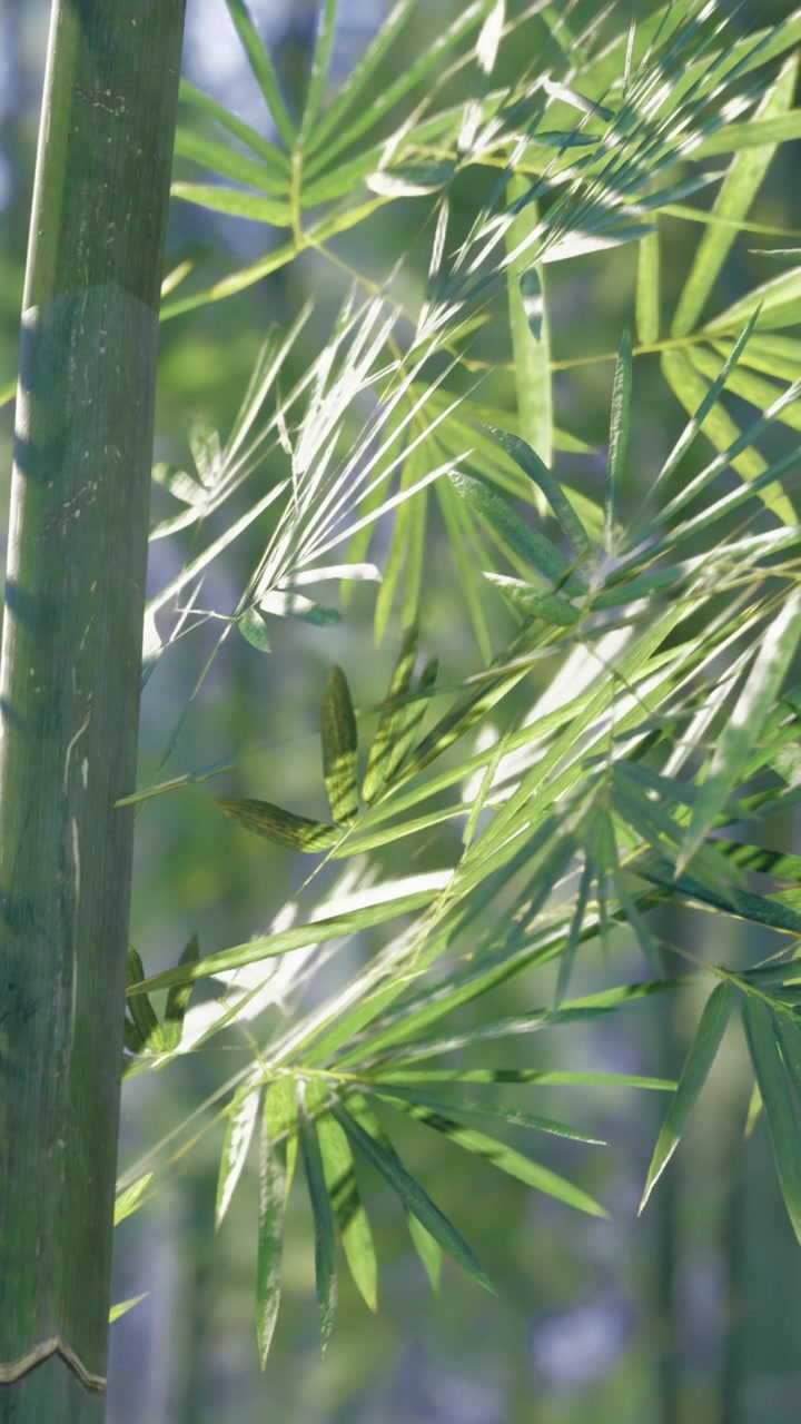 La luce del sole filtra attraverso le foglie di bambù in un ambiente di giardino verde