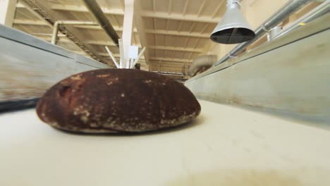 food processing plant. black bread manufacturing line. bakery production
