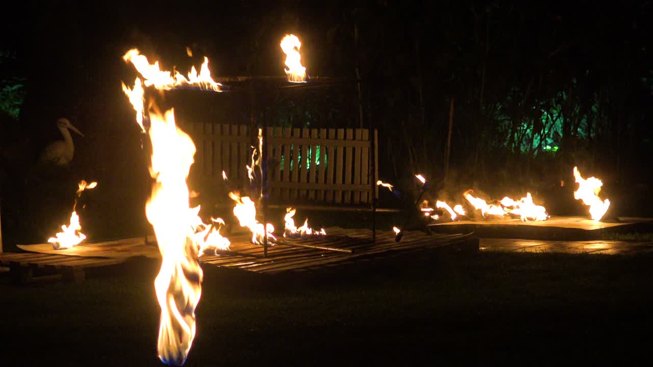 불은 밤을 보여줍니다.