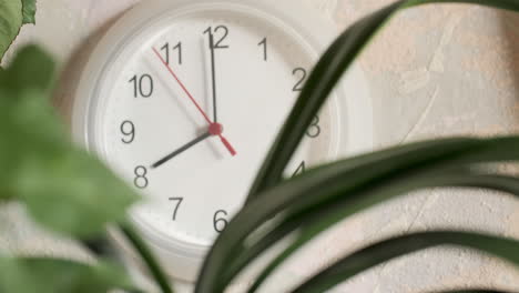 The-wall-clock-shows-8-hours