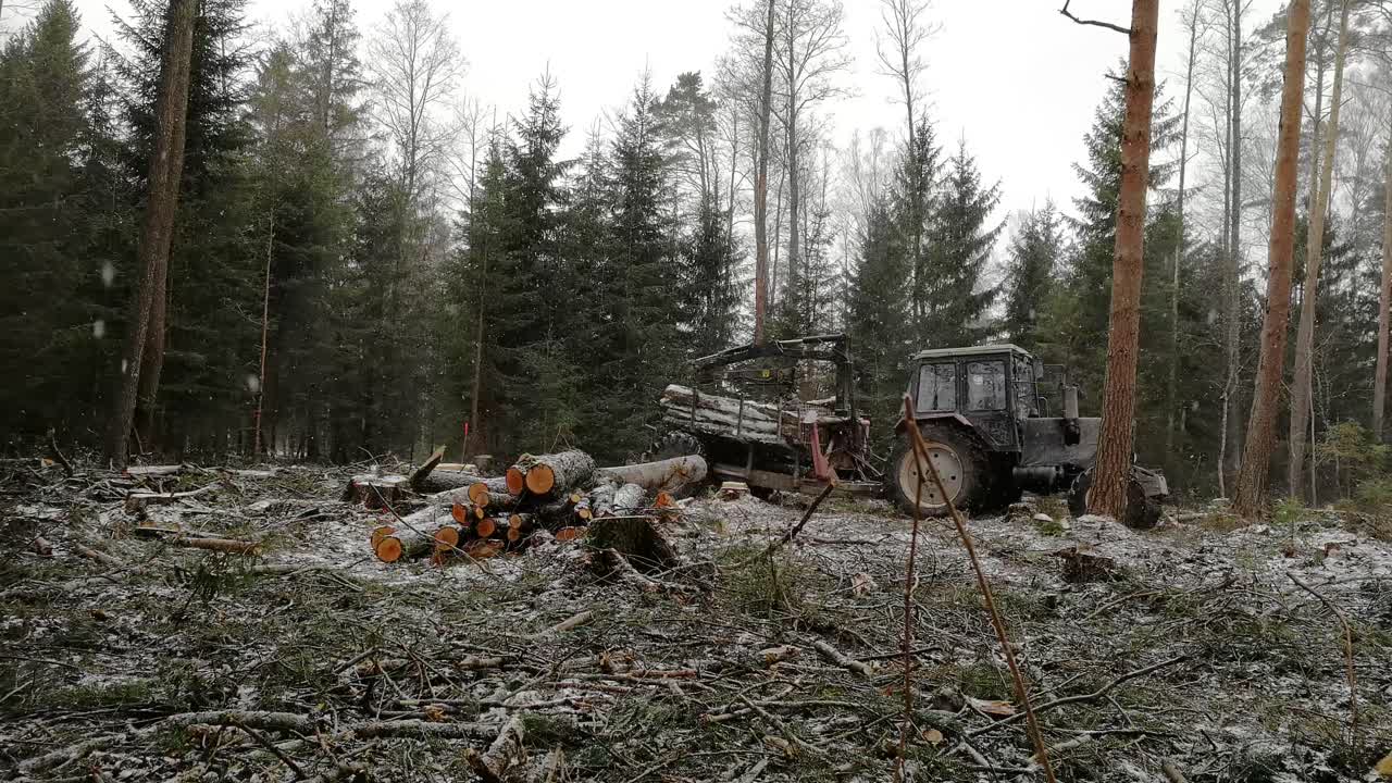 tractor forestal con troncos en unidades de remolque en marcha atrás en la montaña durante las nevadas