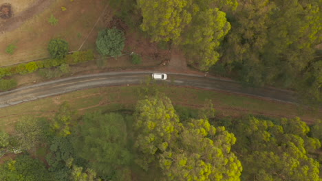 aerial perspective tracking white vehicle driving along dirt road below tree canopy