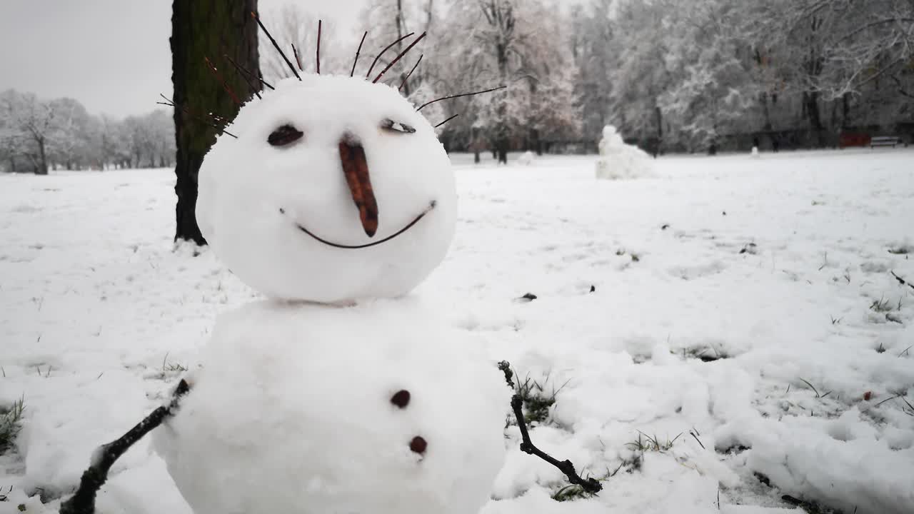 흐린 날에 아름다운 겨울 풍경에 웃는 행복한 눈사람