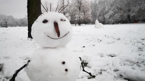 happy snowman smiling in beautiful winter scenery on cloudy day