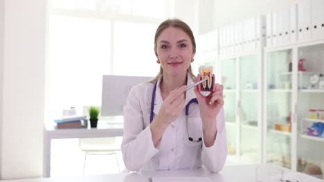 Female Dentist Explaining Dental Anatomy with a Tooth Model