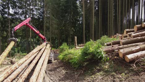 Timber loading, loading logs into a truck, timber processing, deforestation, timber loading with a claw