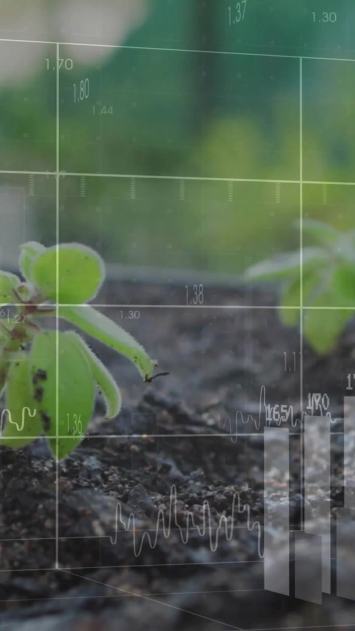Pystysuuntainen video: Ruudukko ilmestyy, agtech-HUD animoi palkkeja ja numeroita, taimi tarkkailee kasvua