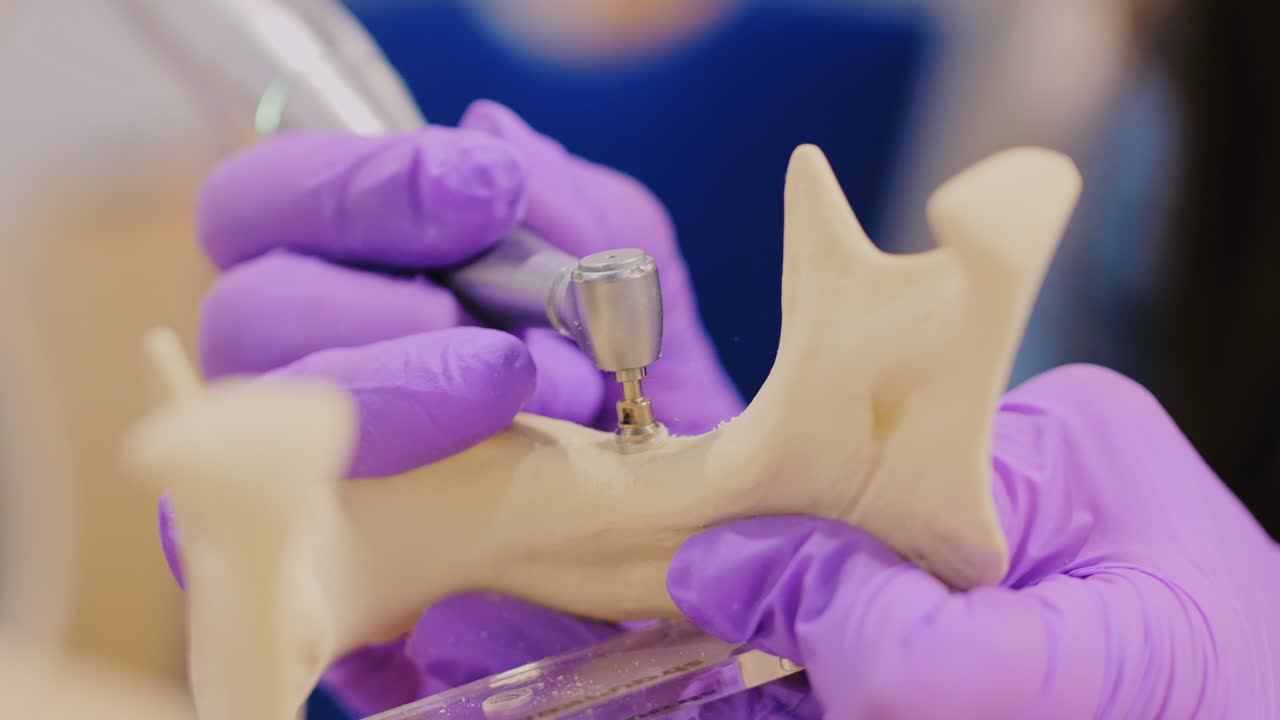 Close-up of gloved hands drilling jawbone model in dental training session