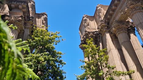 palace of fine arts, san francisco, california usa, columns and trees on sunny day