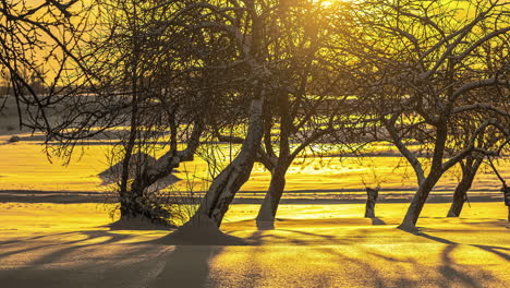 Eine-Goldene-Morgendämmerung-Wirft-Schatten-Von-Den-Bäumen-über-Den-Schnee---Den-Ganzen-Tag-Zeitraffer