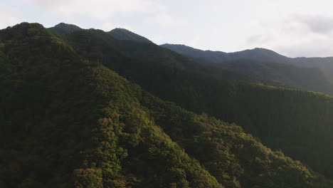 drone flying towards lush green mountains in okutama, japan - aerial drone shot