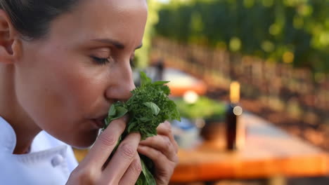woman smelling fresh herbs outdoors
