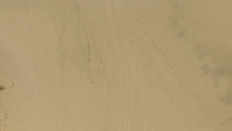 overhead aerial view of dune tracks spread throughout the sand in jessie m