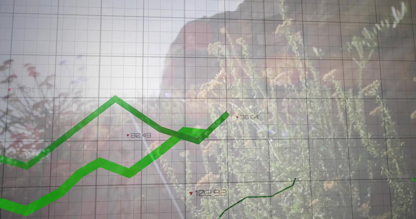 Vasemmasta alakulmasta alkava ja ruudukon poikki nouseva vihreä trendiviiva keskitetyn muotokuvan päällä, visualisoiden trendejä.