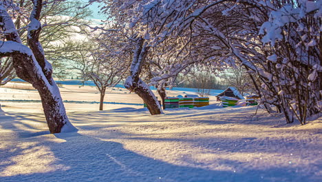 Static-view-of-beehives-covered-with-snow-during-winter-season-with-golden-sun-setting-down-in-background-in-timelapse