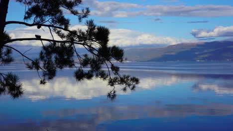 hermoso lago con superficie de agua tranquila que refleja el cielo nublado visto a través de la silueta de ramas de pino