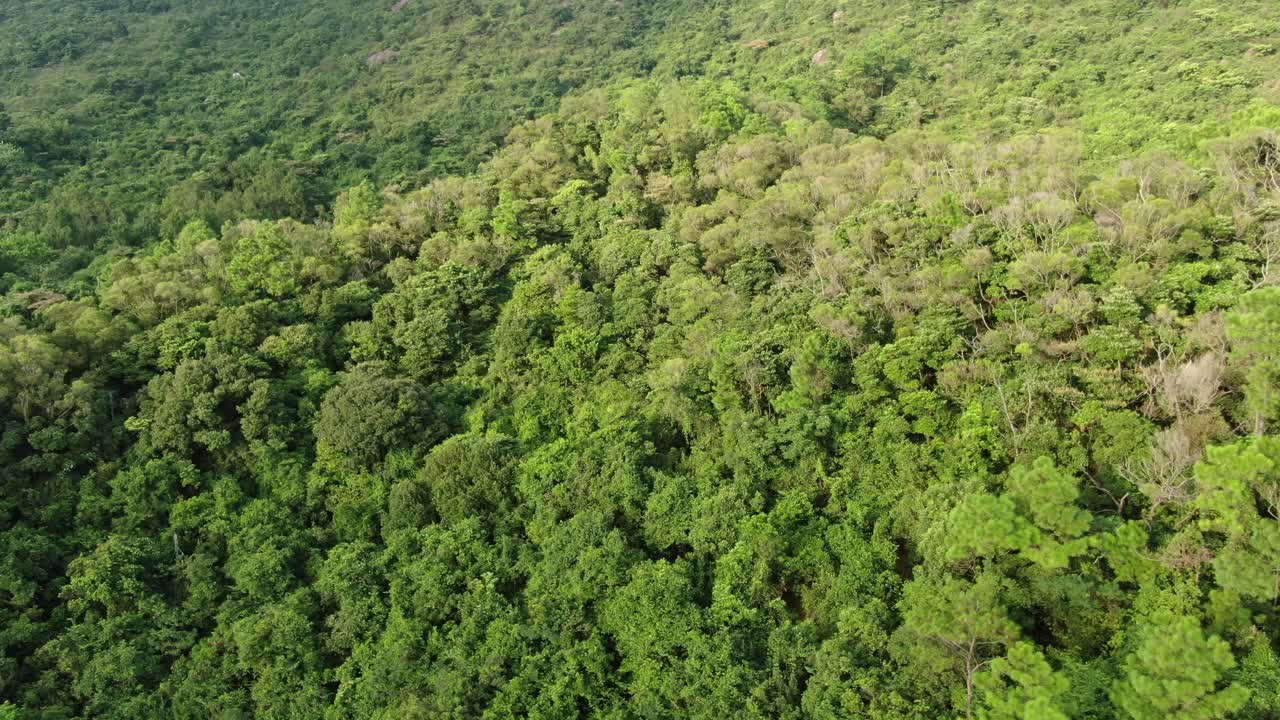 vista aérea de una estrecha y sinuosa carretera de montaña rodeada de una exuberante naturaleza verde