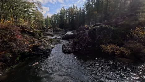 Navegando-A-Lo-Largo-De-Un-Río-En-El-Estado-De-Washington-Entre-Coníferas-Y-Sobre-Una-Cascada