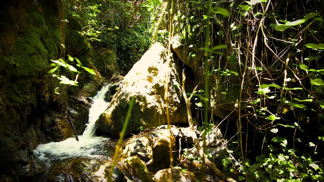 muy hermosa cascada con la luz del sol que pasa a través de las hojas de los árboles en argelia