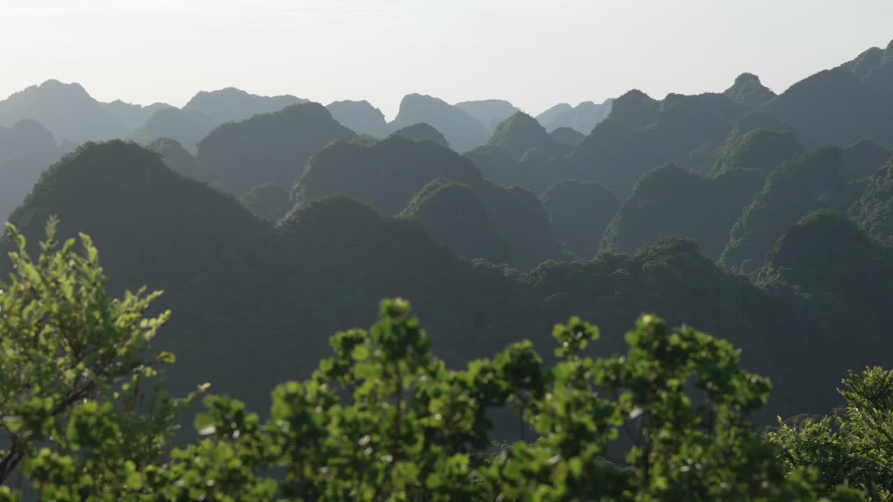 Ha Long Bay limestone mountains covered in lush green nature Vietnam Cat Ba national park