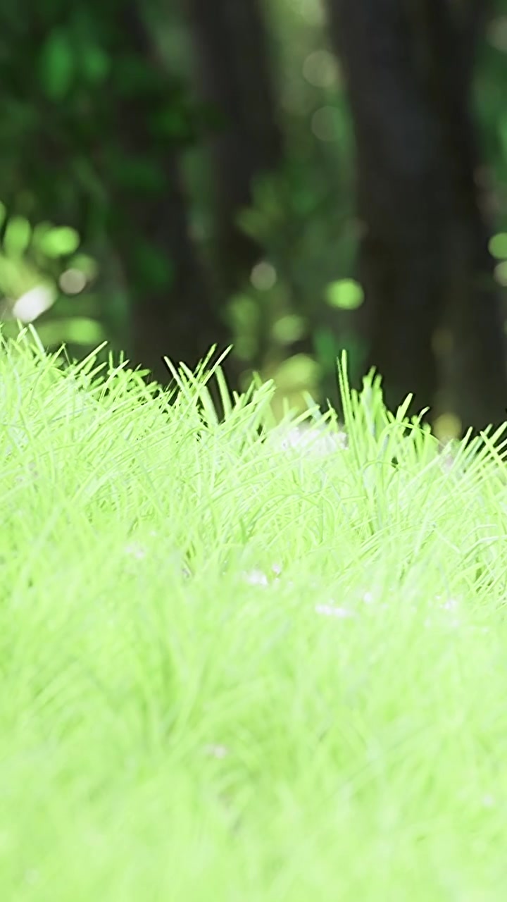 Erba verde fresca cresce in un'area boschiva sotto la luce naturale
