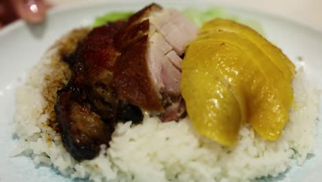 delicious rice with duck and chicken slices