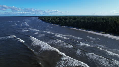 an aerial view of a river with trees in the background