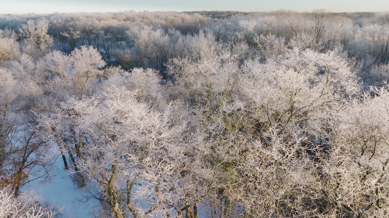 Riprese con drone catturano la serena bellezza di una foresta del Midwest ricoperta di neve dopo una notevole tempesta invernale.