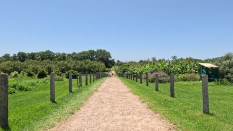 a person walking steadily along a scenic path