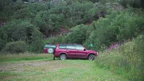 man with pet alaskan malamute dog from the rear of an suv