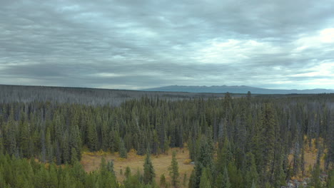 vast wilderness of scenic british colombia, canada
