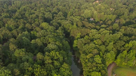 Aerial-view-near-Lake-Lanier-in-Cumming,-Georgia