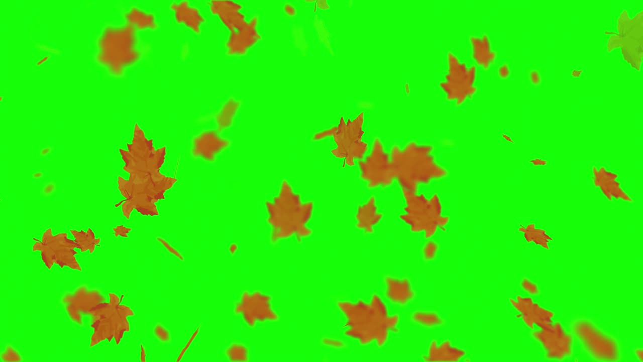 떨어지는 잎의 애니메이션 루프 가을