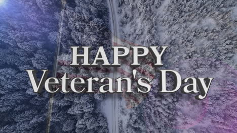 happy veterans day text over american flag against aerial view of landscape with trees