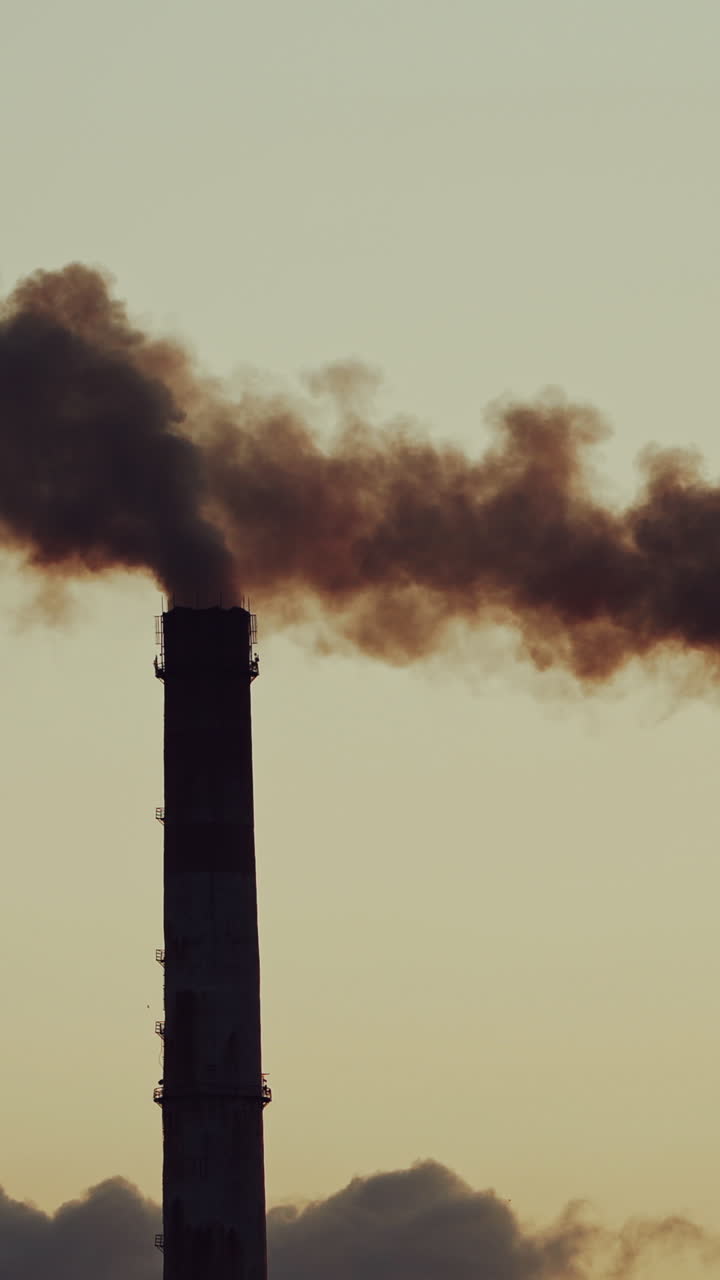 Large industrial pipes pollute the atmosphere with smoke. Two big pipes with thick smoke in the air on the grey evening sky background. Vertical video