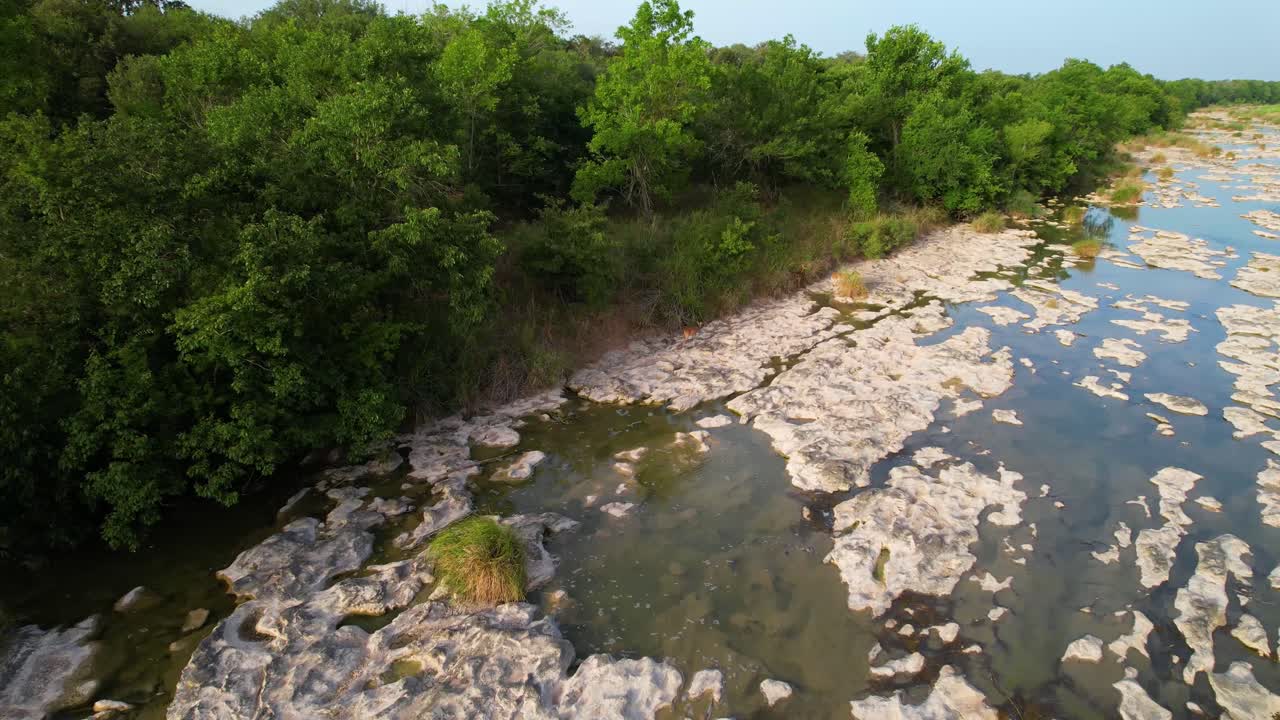imágenes aéreas de ciervos caminando por el río pedernales en texas
